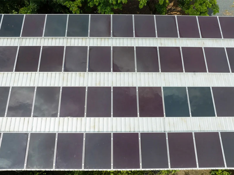 Thin-film solar panels mounted in rows.