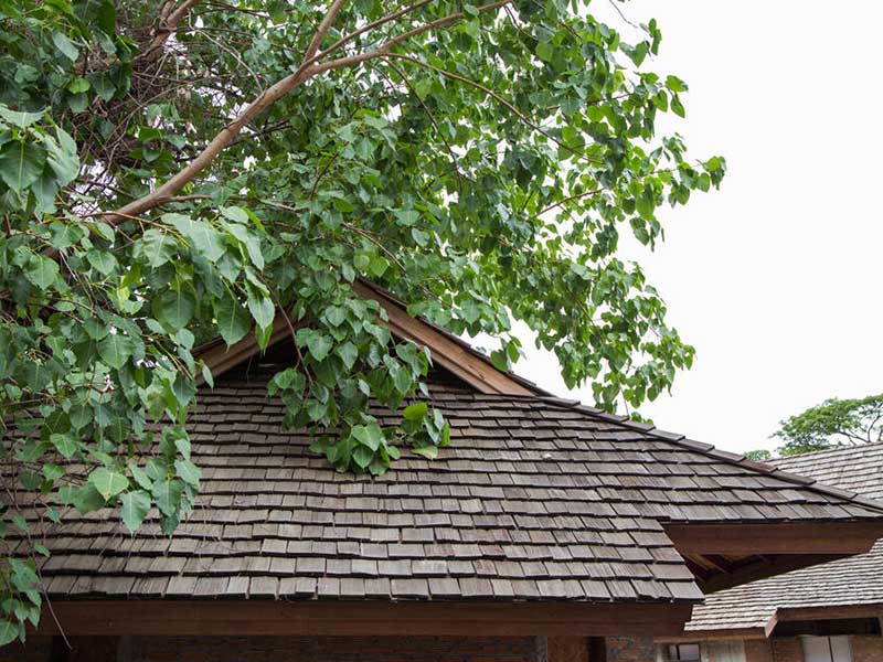 Cedar shake roof
