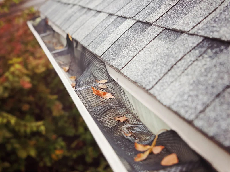 Hail damage to roof and clogged gutters