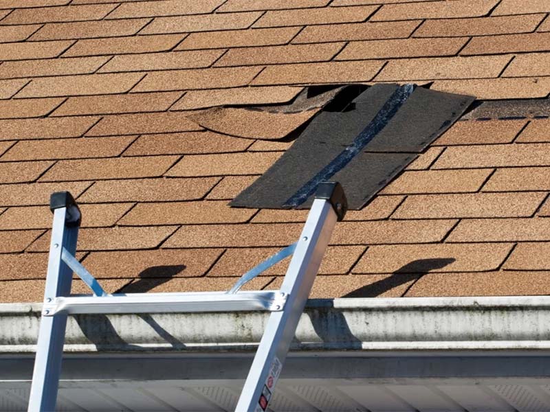 Ladder leaned against roof with damaged shingles