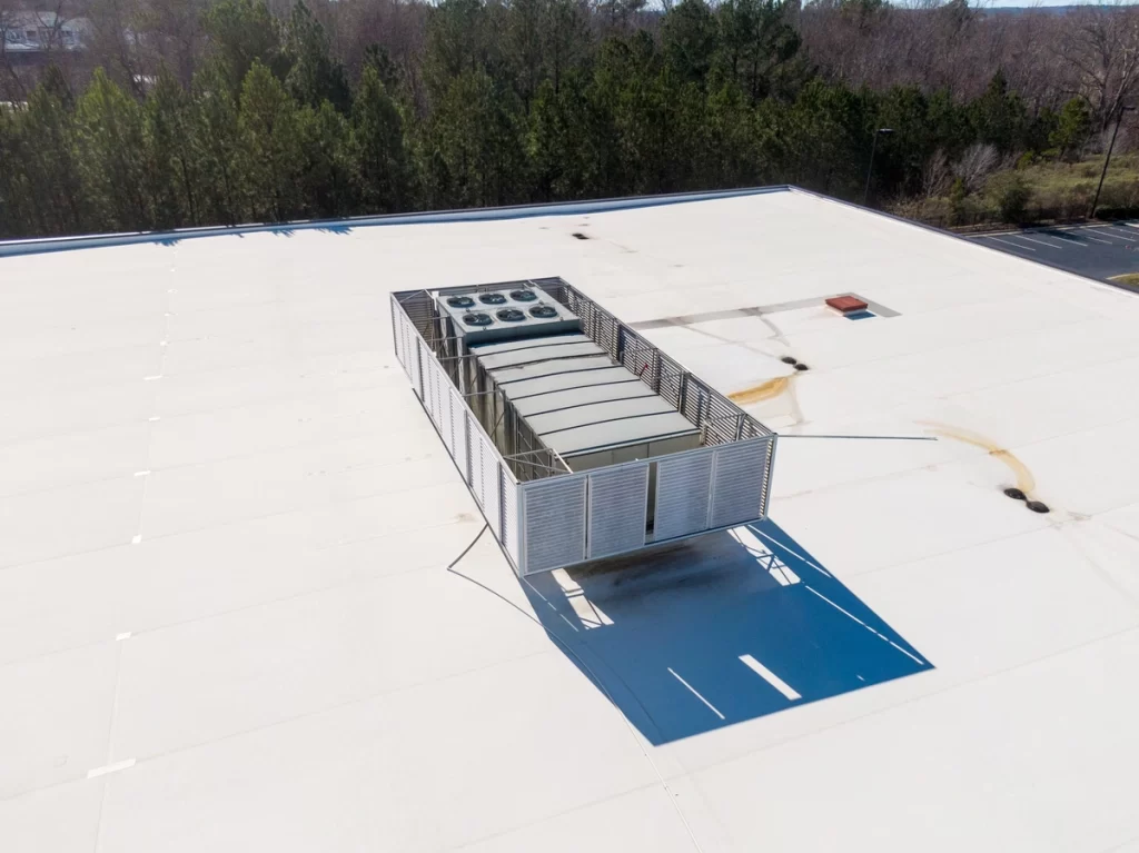 TPO roof and pine trees