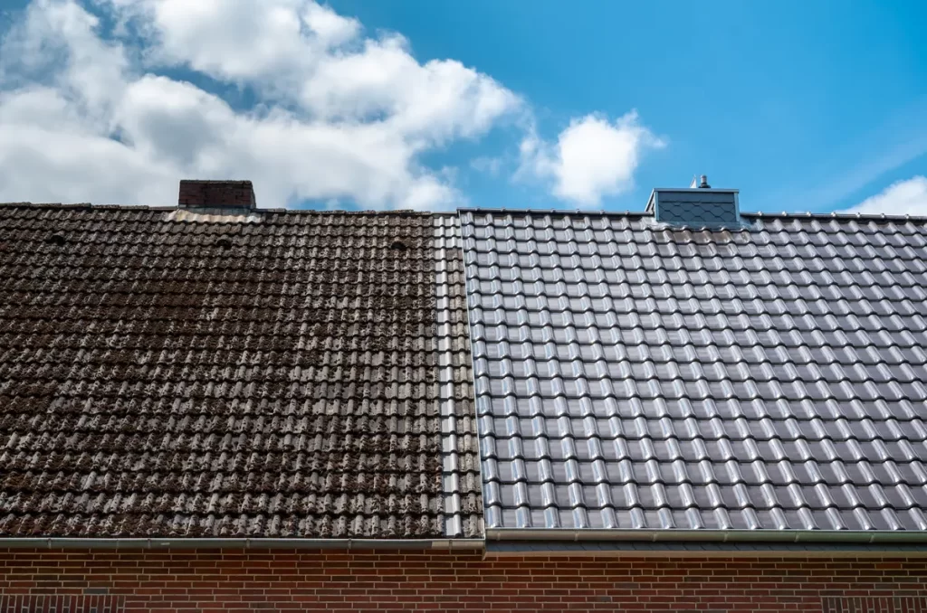 before and after roof cleaning