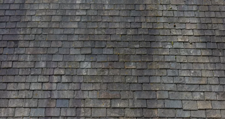 black streaks on shingles