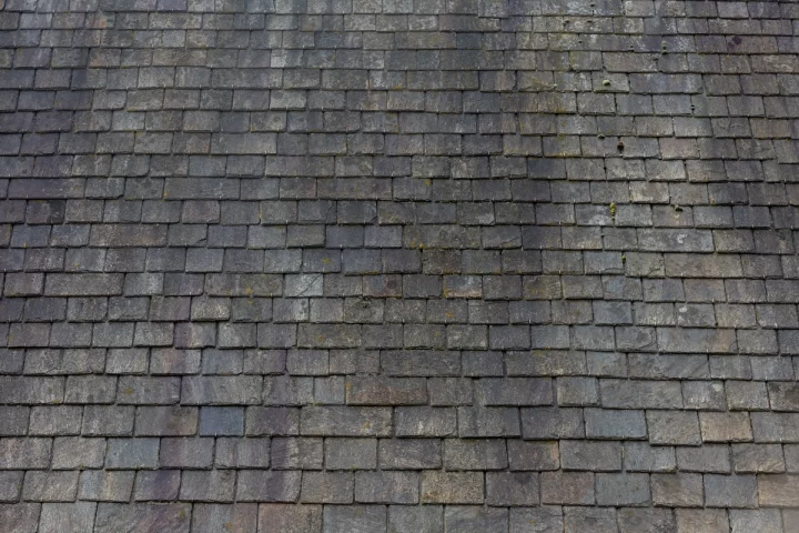 black streaks on shingles