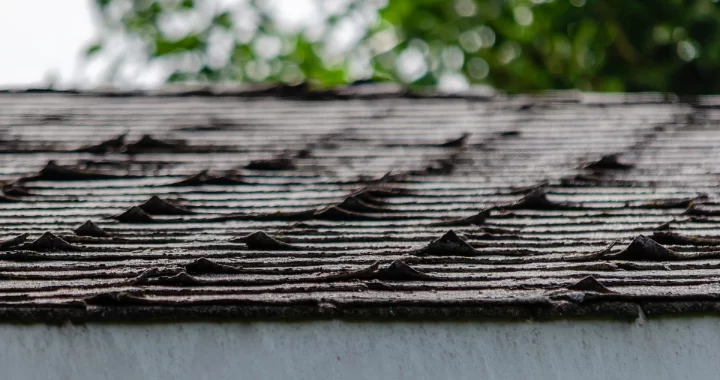 curling shingles