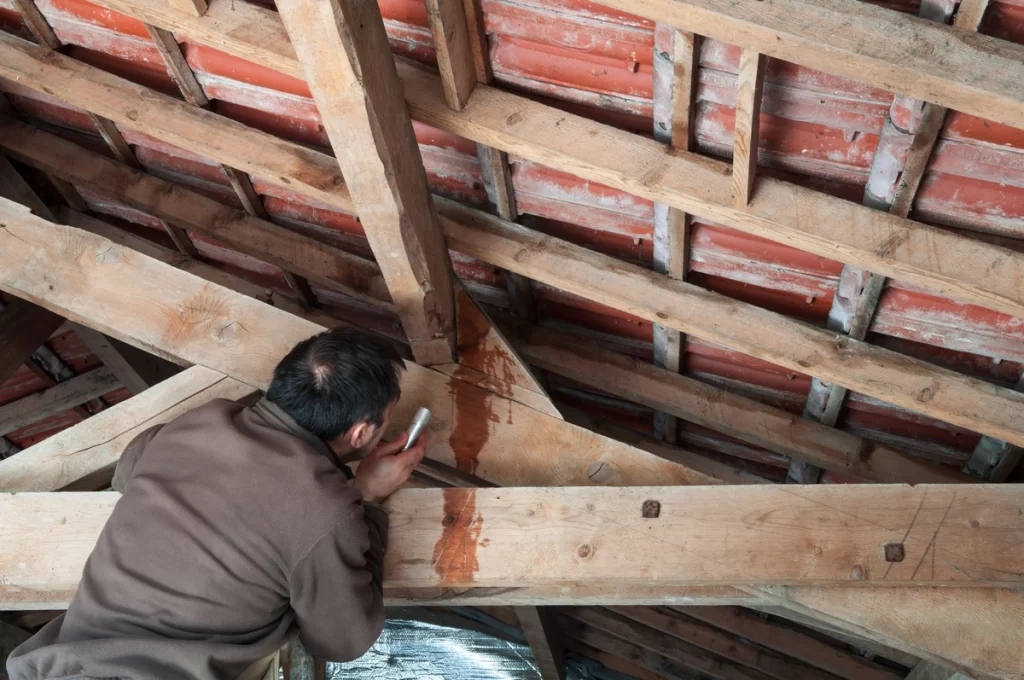 homeowner searches for a roof leak in emergency roof repair