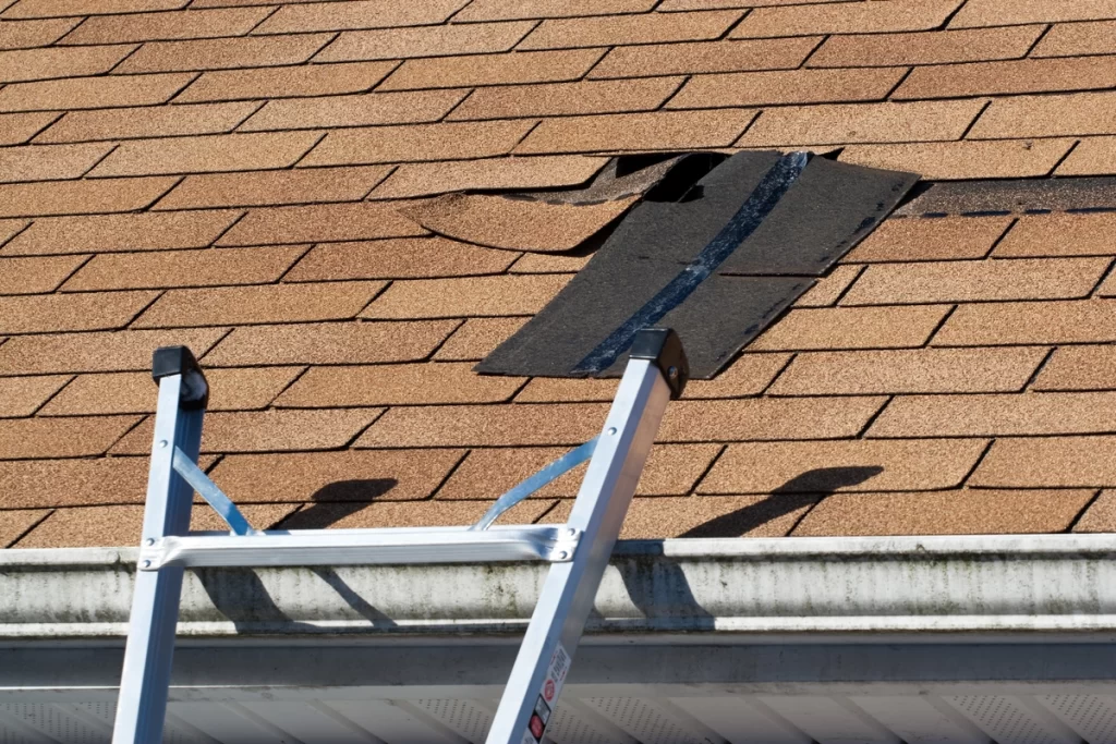 Close up view of brown roof with missing shingles in need of roof maintenance