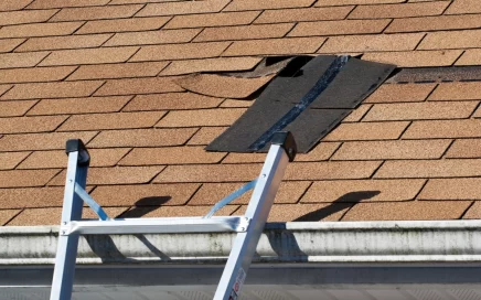 Close up view of brown roof with missing shingles in need of roof maintenance