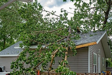 large tree branch fallen and damaging the roof of a house