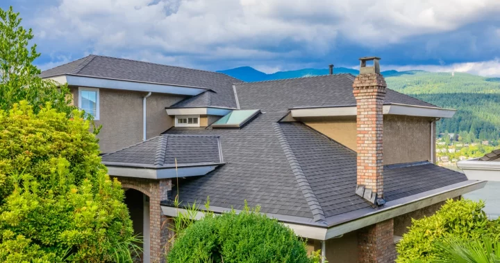 roof and trees