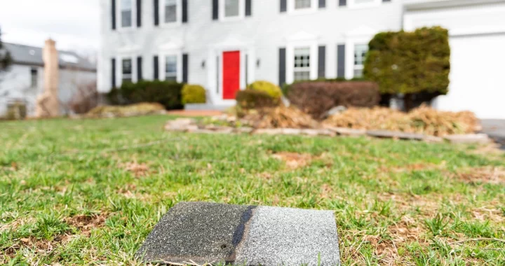 shingle in the yard