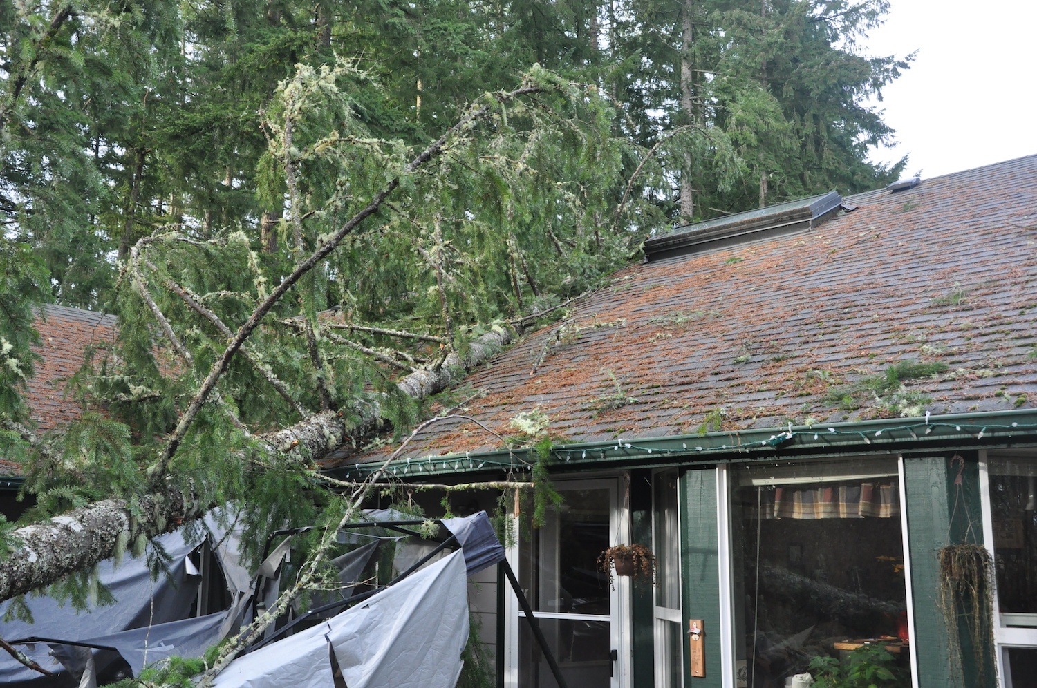 storm damage repair wilmington house