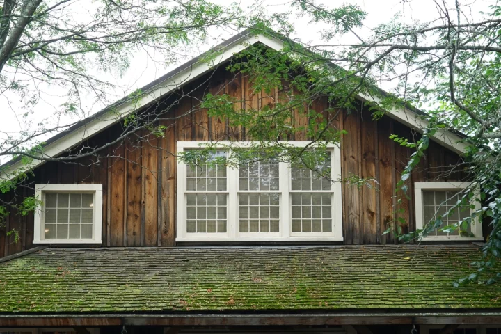 view of the front of a home with moss growing on the roof