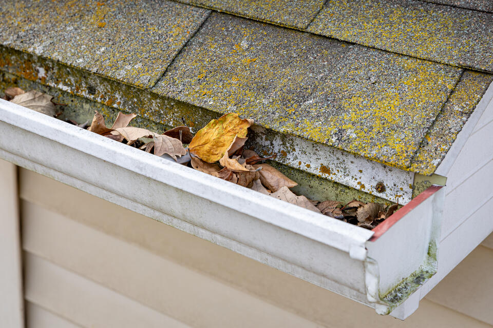 what causes mold on roof shingles-dirty roof with clogged gutters