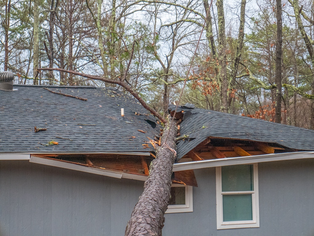Storm damage tree on roof in need of insurance claim